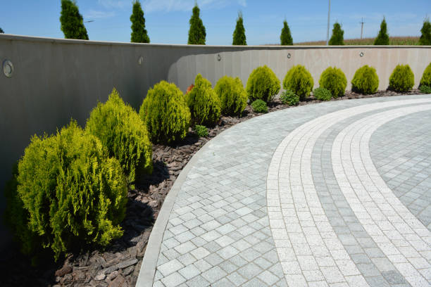 Driveway Repair Near Me in South Gate, CA